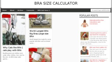 brasizecalculator.blogspot.com