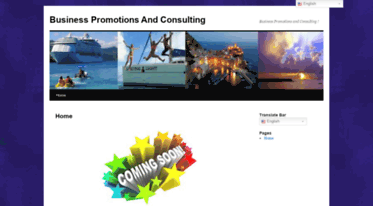 businesspromotionsandconsulting.com