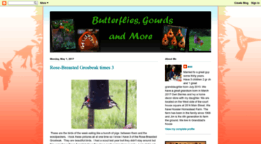 butterfliesgourdsandmore.blogspot.com