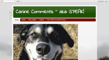 caninecomments.blogspot.com
