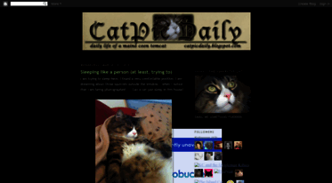 catpicdaily.blogspot.com