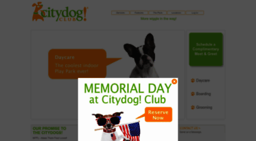 citydogclub.com