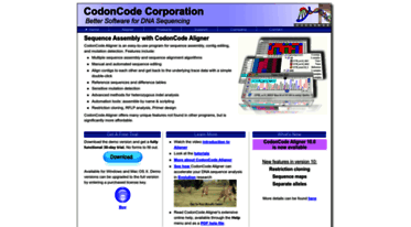 codoncode.com