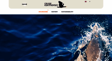 cruceroscormoran.com
