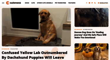 cuteness.com