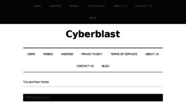 cyberblast.in