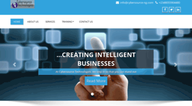 cybersource-ng.com