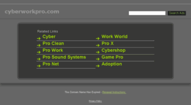 cyberworkpro.com