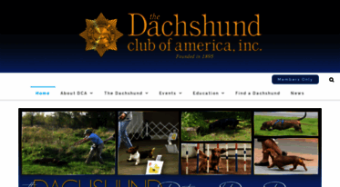 dachshundclubofamerica.org
