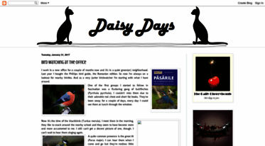 daisydays.blogspot.com