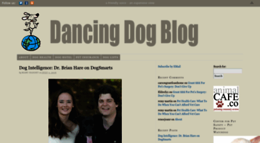 dancingdogblog.com