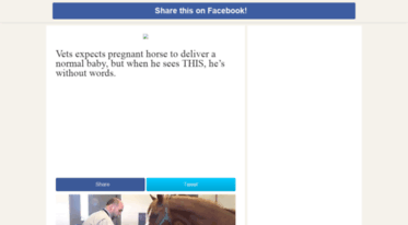 delivers.thesocialchive.com