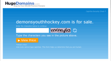 demonsyouthhockey.com