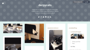derpycats.com