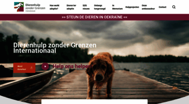 dierenhulpzondergrenzen.com