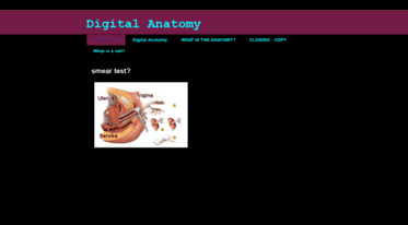 digital-anatomy.blogspot.com