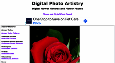 digitalphotoartistry.com