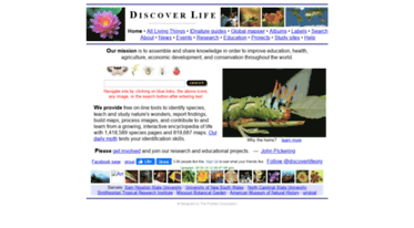 discoverlife.org