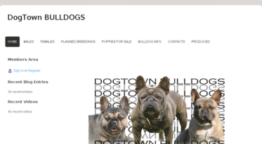dogtownbulldogs.com