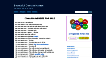 domaincv.com