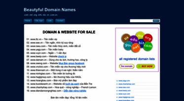domaincv.com