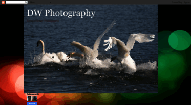 doug-daybyday.blogspot.com