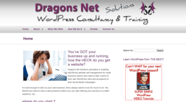 dragons-net.com