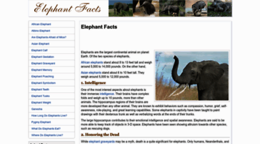 elephantfacts.net
