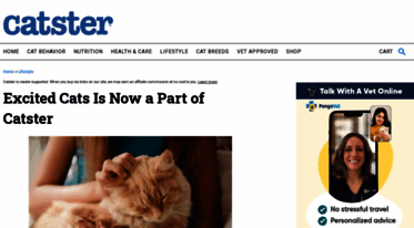 excitedcats.com