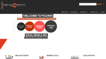 ficorin.com