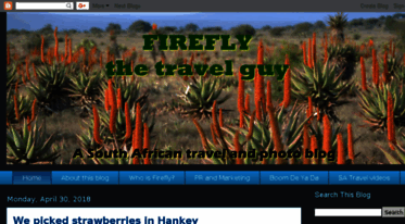 fireflyafrica.blogspot.com