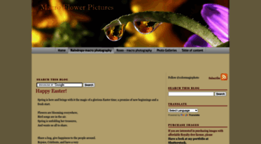 flowers-macrophotography.blogspot.com
