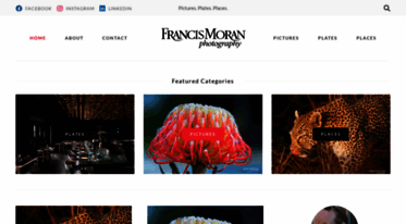francis-moran.com