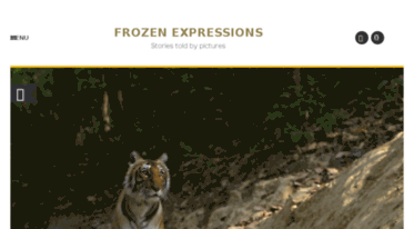 frozenexpressions.com