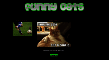 funnycats4u.blogspot.com