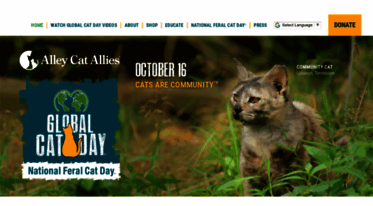 globalcatday.org