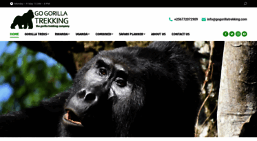 gorillatrekrwanda.com