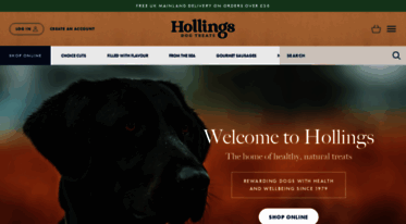 hollings.uk.com