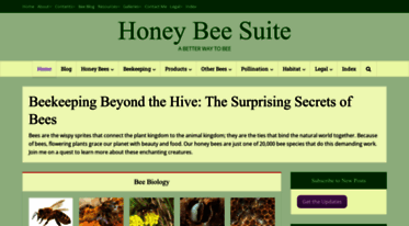 honeybeesuite.com