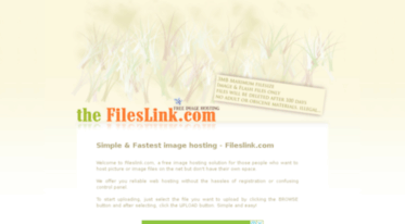 image.fileslink.com