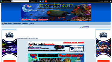 indofishclub.com