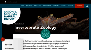 invertebrates.si.edu