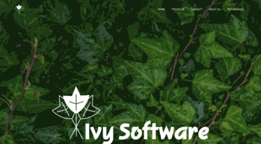 ivysoftware.com