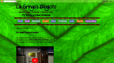 lagringasblogicito.blogspot.com