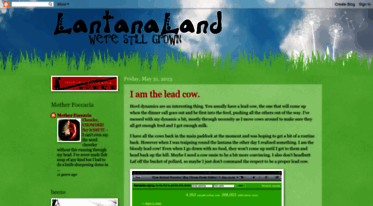 lantanaland.blogspot.com