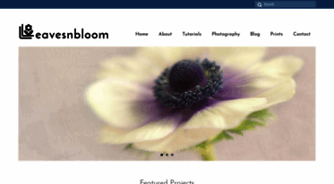 leavesnbloom.com