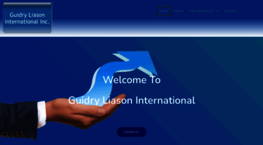 liason-international.com