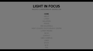 lightinfocus.co.uk