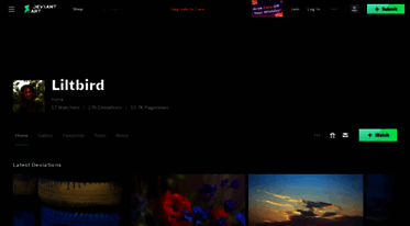 liltbird.deviantart.com