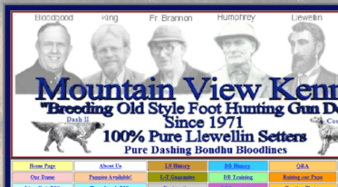 llewellinsetter.8k.com